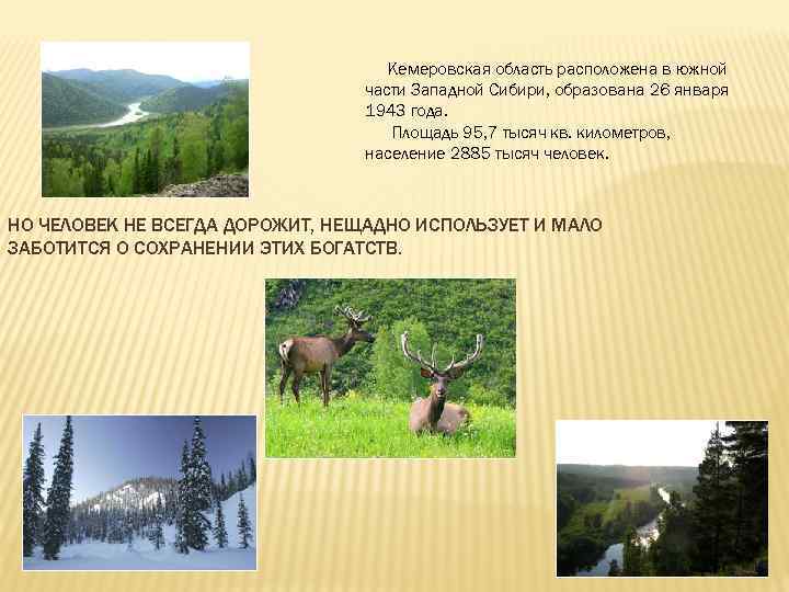 Кемеровская область расположена в южной части Западной Сибири, образована 26 января 1943 года. Площадь