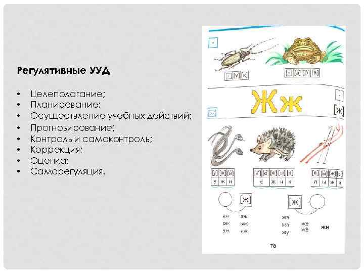 Регулятивные УУД • • Целеполагание; Планирование; Осуществление учебных действий; Прогнозирование; Контроль и самоконтроль; Коррекция;