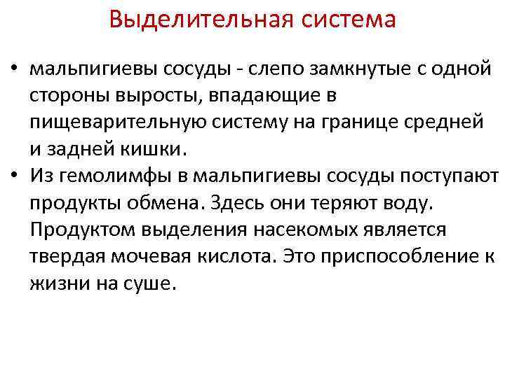 Выделительная система • мальпигиевы сосуды - слепо замкнутые с одной стороны выросты, впадающие в