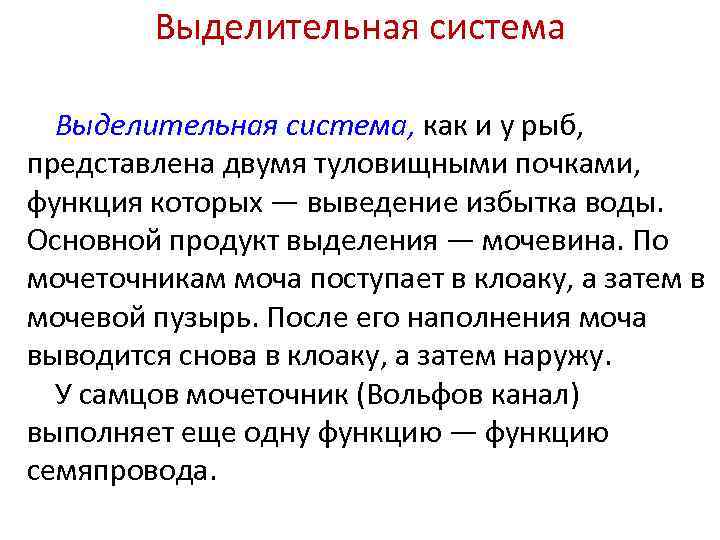 Выделительная система, как и у рыб, представлена двумя туловищными почками, функция которых — выведение