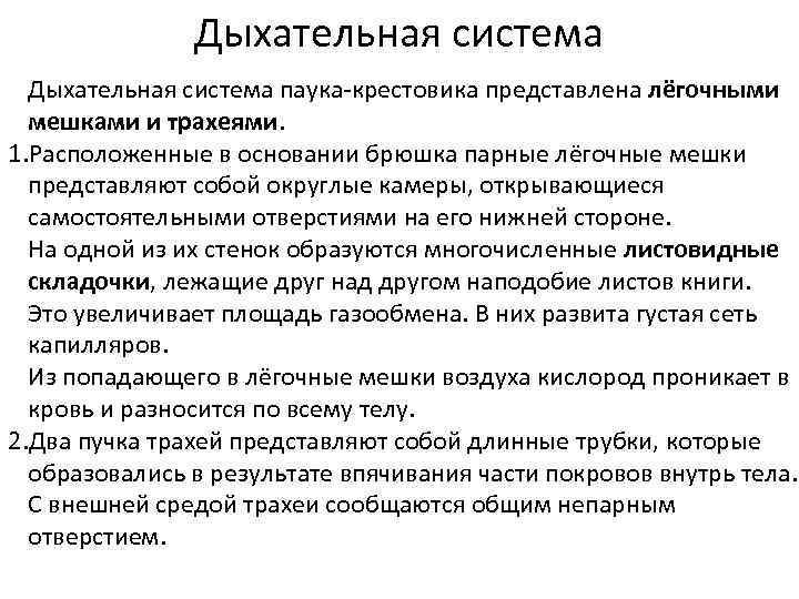 Дыхательная система паука-крестовика представлена лёгочными мешками и трахеями. 1. Расположенные в основании брюшка парные