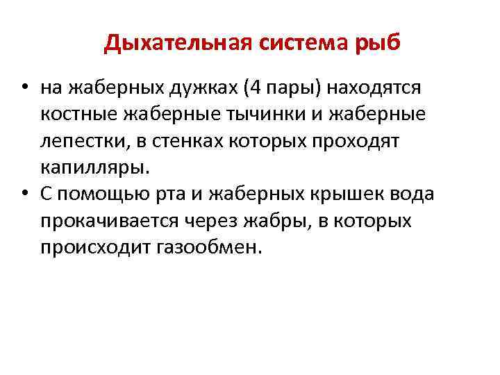 Процесс дыхание простейших. Дыхание простейших. Тип дыхания простейших. Жаберные тычинки и лепестки.