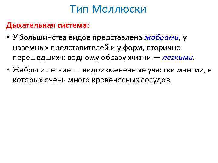 Тип Моллюски Дыхательная система: • У большинства видов представлена жабрами, у наземных представителей и