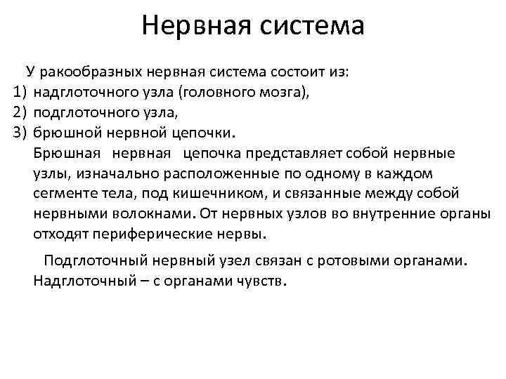 Нервная система У ракообразных нервная система состоит из: 1) надглоточного узла (головного мозга), 2)