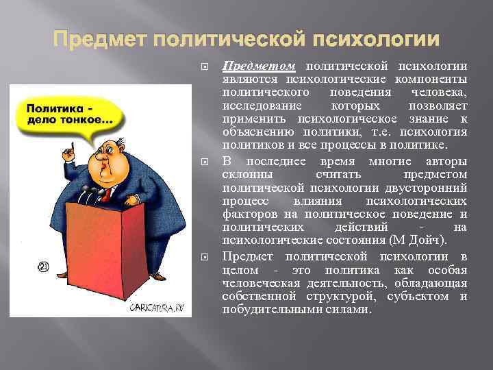 Предметом политической