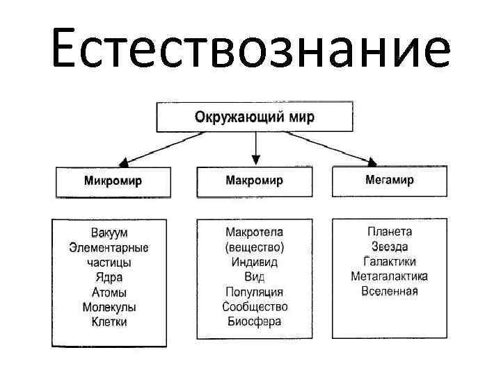 Структурная иерархия микромира