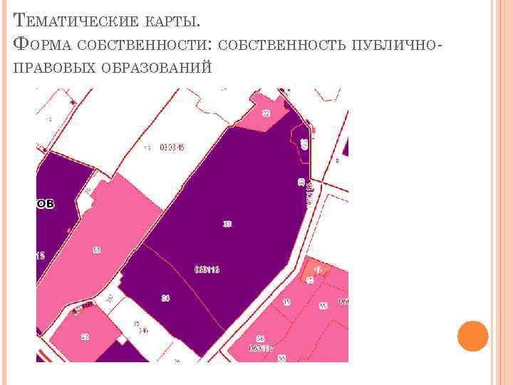 ТЕМАТИЧЕСКИЕ КАРТЫ. ФОРМА СОБСТВЕННОСТИ: СОБСТВЕННОСТЬ ПУБЛИЧНО ПРАВОВЫХ ОБРАЗОВАНИЙ 