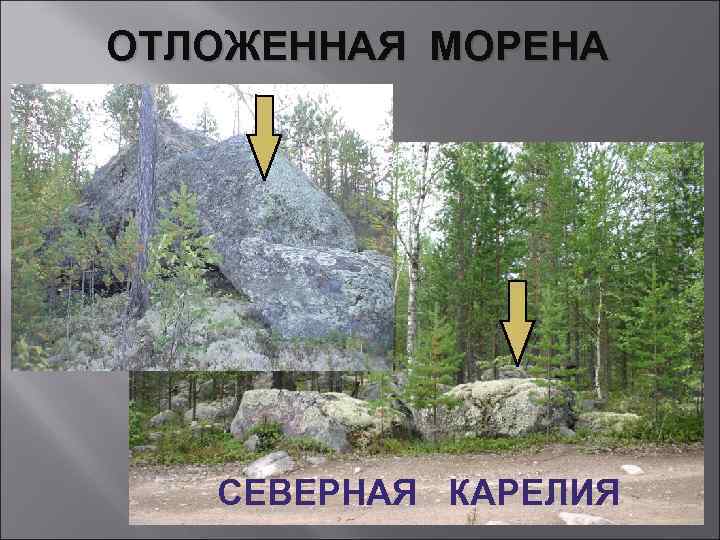 ОТЛОЖЕННАЯ МОРЕНА СЕВЕРНАЯ КАРЕЛИЯ 