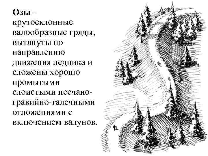 Озы - крутосклонные валообразные гряды, вытянуты по направлению движения ледника и сложены хорошо промытыми