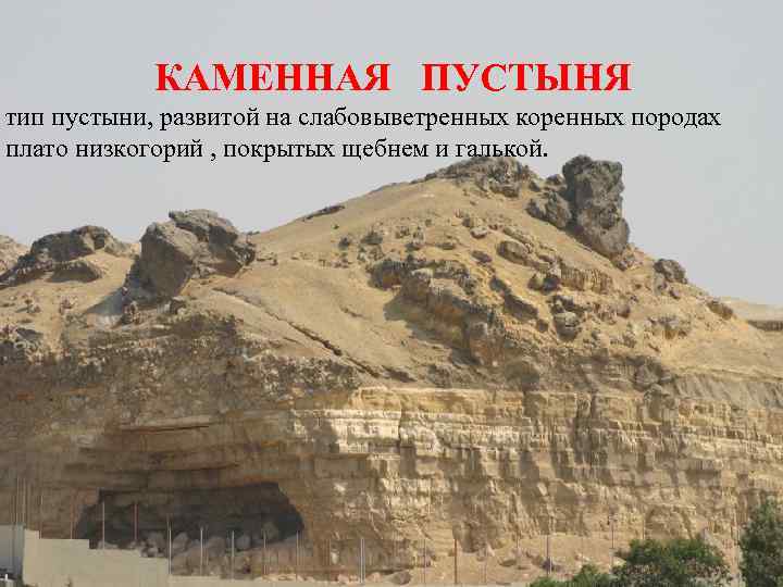 КАМЕННАЯ ПУСТЫНЯ тип пустыни, развитой на слабовыветренных коренных породах плато низкогорий , покрытых щебнем