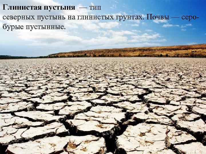 Глинистая пустыня — тип северных пустынь на глинистых грунтах. Почвы — серобурые пустынные. 