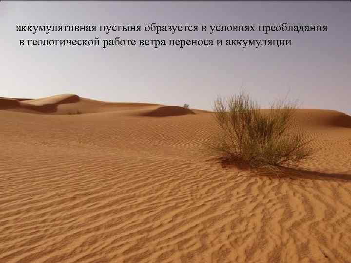 аккумулятивная пустыня образуется в условиях преобладания в геологической работе ветра переноса и аккумуляции 