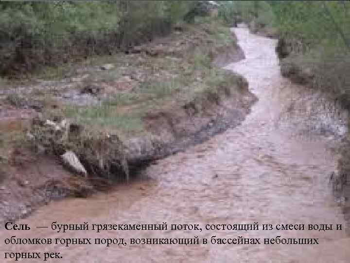 Сель — бурный грязекаменный поток, состоящий из смеси воды и обломков горных пород, возникающий