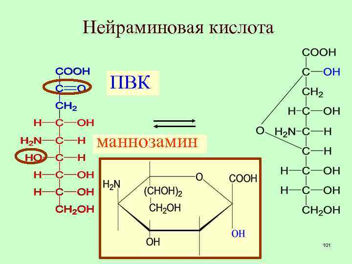 Нейраминовая кислота ПВК маннозамин 101 