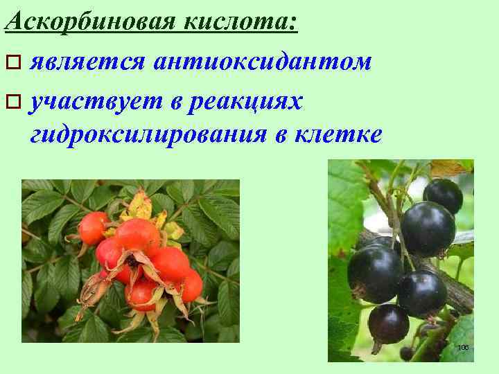 Аскорбиновая кислота: o является антиоксидантом o участвует в реакциях гидроксилирования в клетке 106 