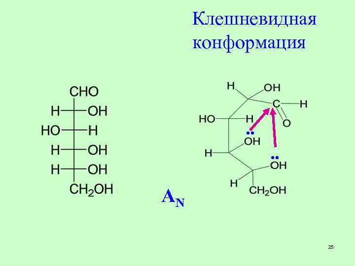 Клешневидная конформация . . AN 25 