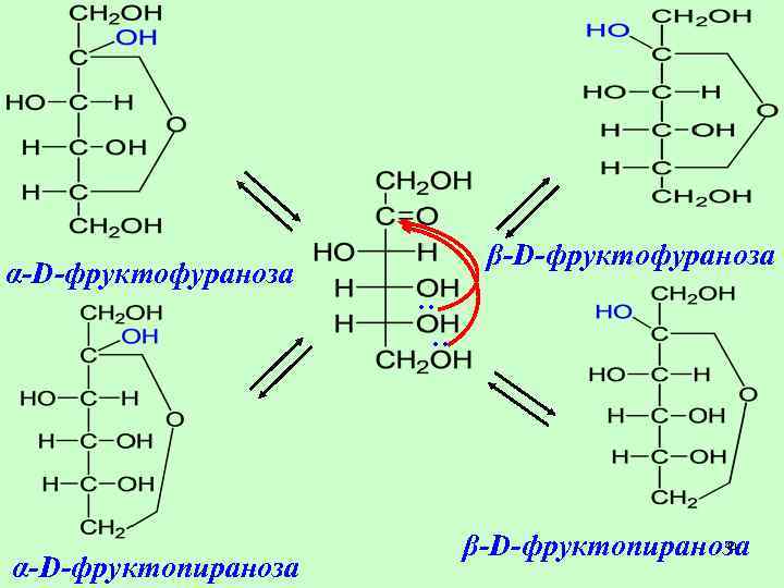 α-D-фруктофураноза α-D-фруктопираноза β-D-фруктофураноза . . β-D-фруктопираноза 40 