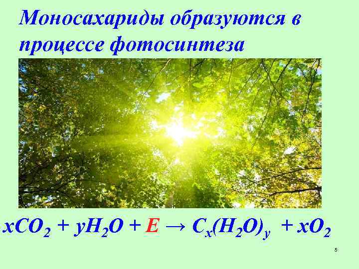 Моносахариды образуются в процессе фотосинтеза х. CO 2 + у. H 2 O +