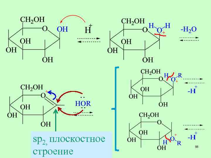 sp 2, плоскостное строение 55 