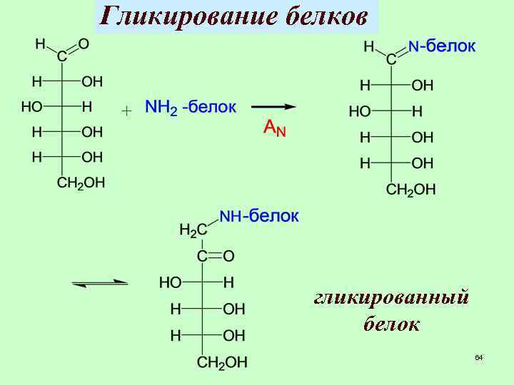 Гликирование белков гликированный белок 64 