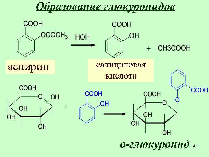 Образование глюкуронидов аспирин салициловая кислота о-глюкуронид 81 