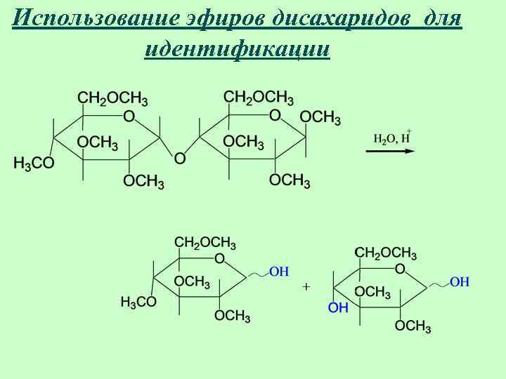 Использование эфиров дисахаридов для идентификации 