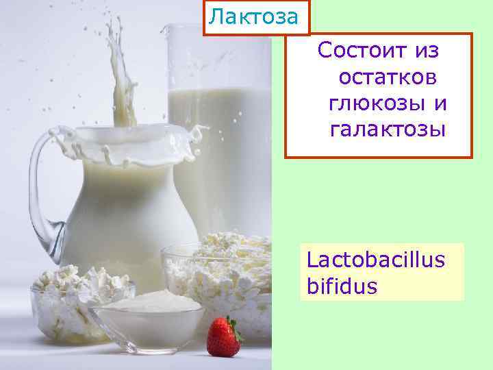 Лактоза Состоит из остатков глюкозы и галактозы Lactobacillus bifidus 