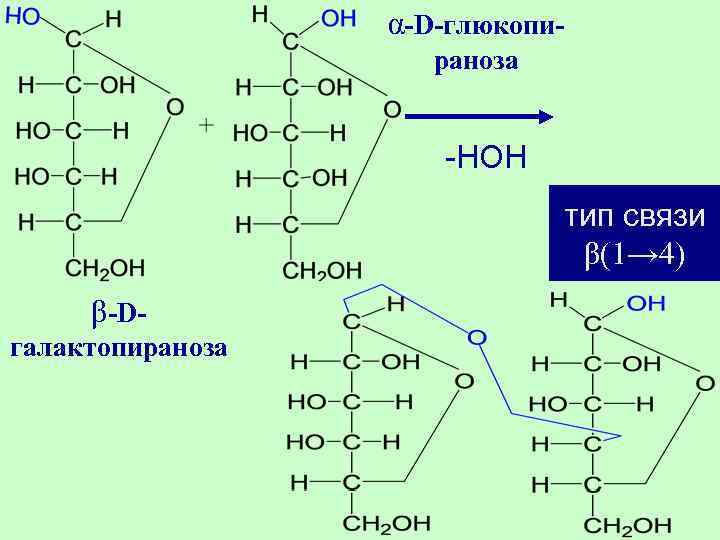 α-D-глюкопираноза -НОН тип связи β(1→ 4) β-Dгалактопираноза 