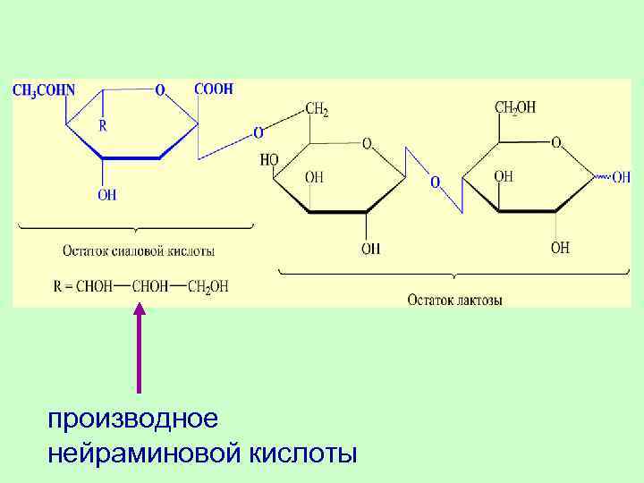 производное нейраминовой кислоты 