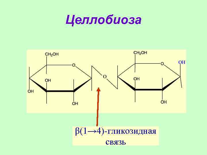 Схема образования целлобиозы