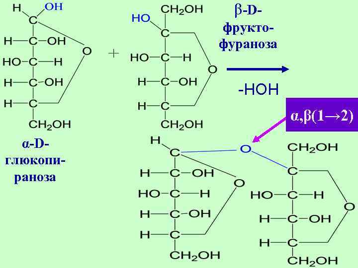 β-Dфруктофураноза -НОН α, β(1→ 2) α-Dглюкопираноза 