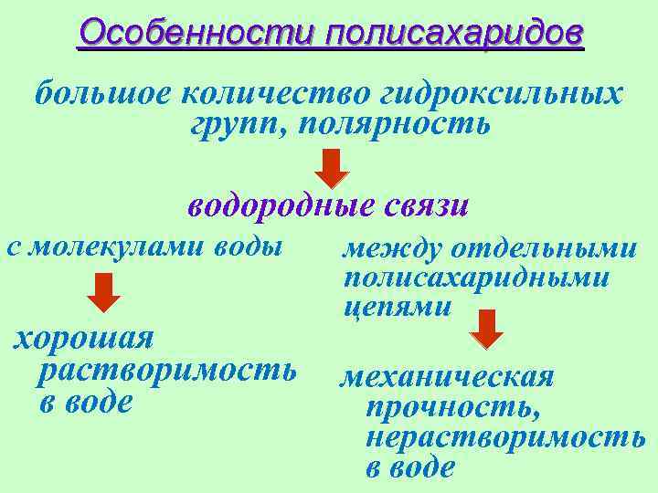 Особенности полисахаридов большое количество гидроксильных групп, полярность водородные связи с молекулами воды хорошая растворимость