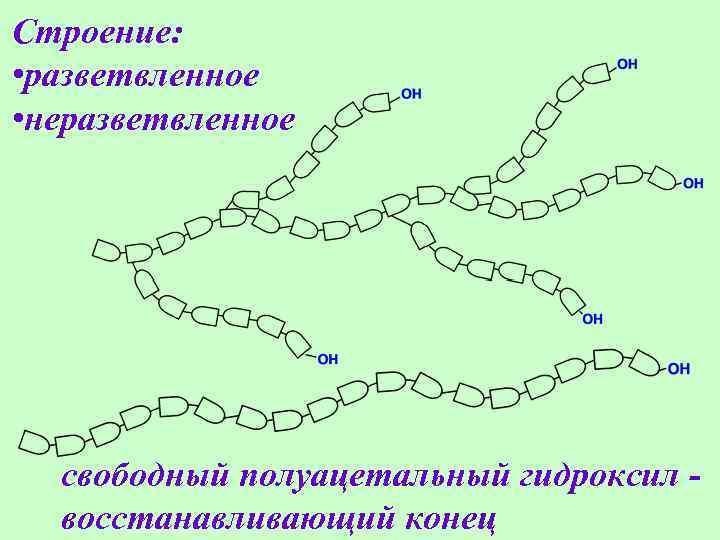 Строение: • разветвленное • неразветвленное свободный полуацетальный гидроксил восстанавливающий конец 