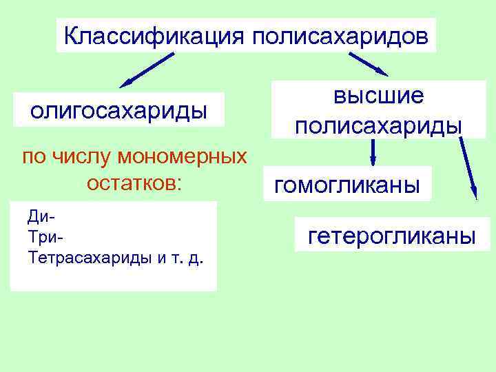 Классификация полисахаридов олигосахариды по числу мономерных остатков: Ди. Три. Тетрасахариды и т. д. высшие