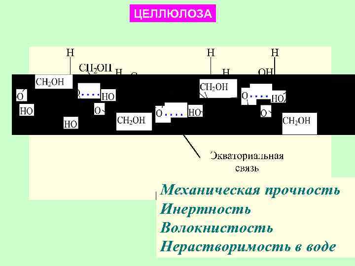 ЦЕЛЛЮЛОЗА Механическая прочность Инертность Волокнистость Нерастворимость в воде 