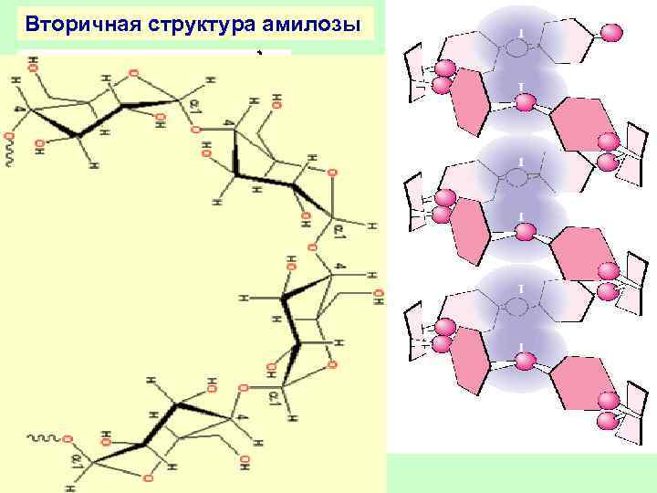 Вторичная структура амилозы Комплексообразующая способность амилозы используется для обнаружения и крахмала, и иода Иодкрахмальная