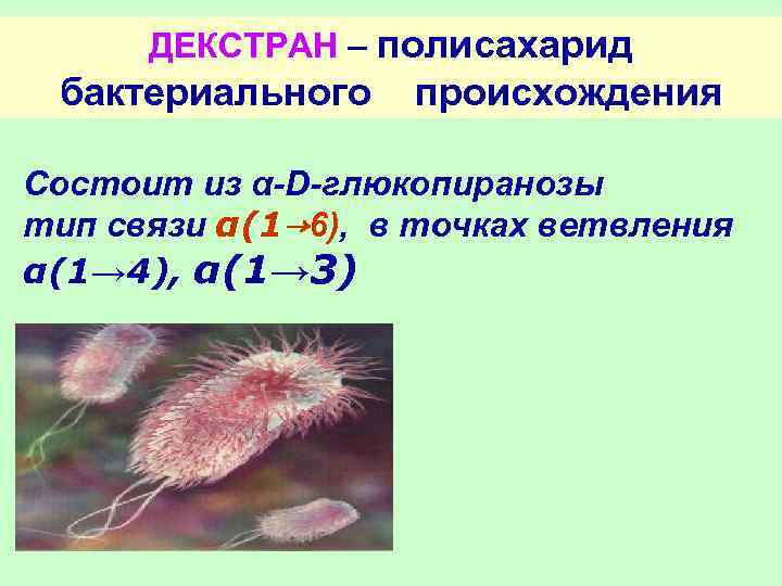 ДЕКСТРАН – полисахарид бактериального происхождения Состоит из α-D-глюкопиранозы тип связи α(1→ 6), в точках