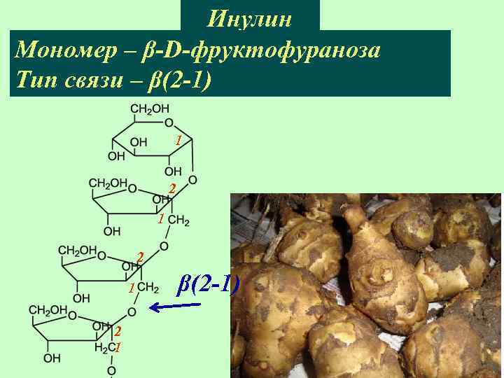 Инулин Мономер – β-D-фруктофураноза Тип связи – β(2 -1) 1 2 1 2 1