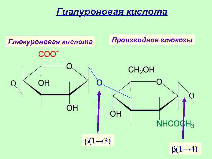 Глюкуроновая кислота для чего. D-глюкуроновая кислота биологическая роль. D-глюкуроновая кислота характеризуется свойствами. Биологическая роль глюкуроновой кислоты. Глюкуроновая кислота строение.