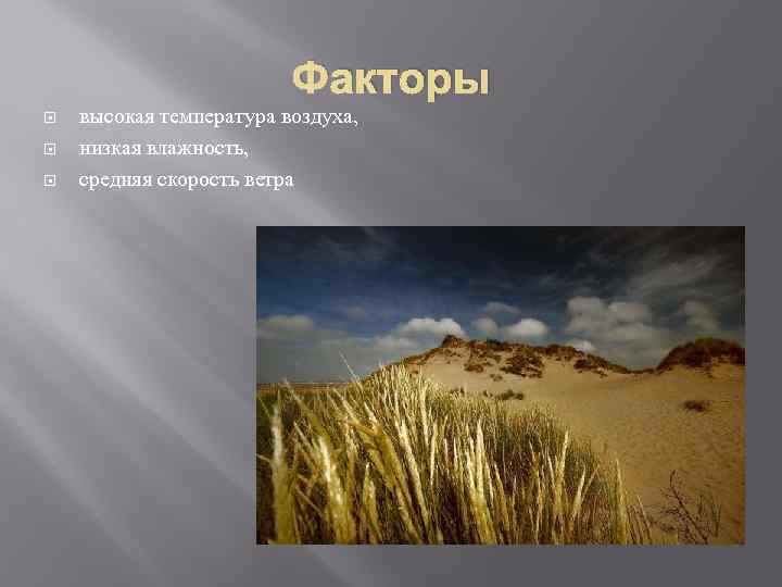 Факторы высокая температура воздуха, низкая влажность, средняя скорость ветра 