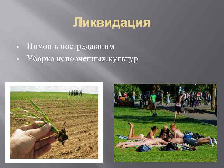 Ликвидация • • Помощь пострадавшим Уборка испорченных культур 