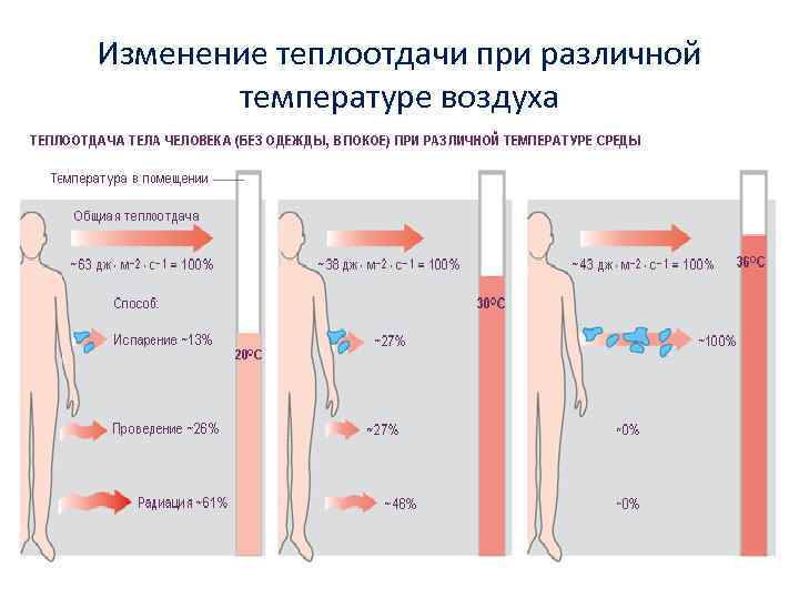 Изменение теплоотдачи при различной температуре воздуха 