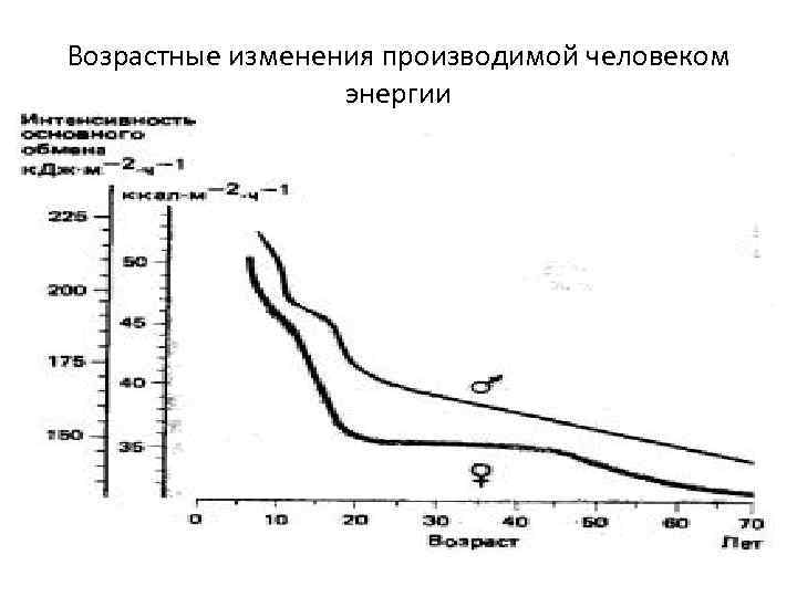 Возрастные изменения производимой человеком энергии 