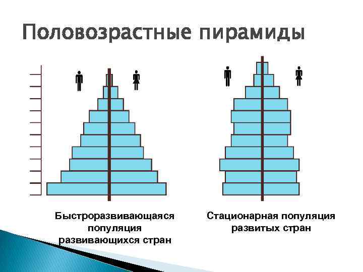 Демографические проблемы развитых и развивающихся стран