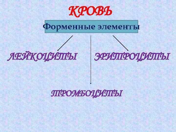 КРОВЬ Форменные элементы ЛЕЙКОЦИТЫ ЭРИТРОЦИТЫ ТРОМБОЦИТЫ 