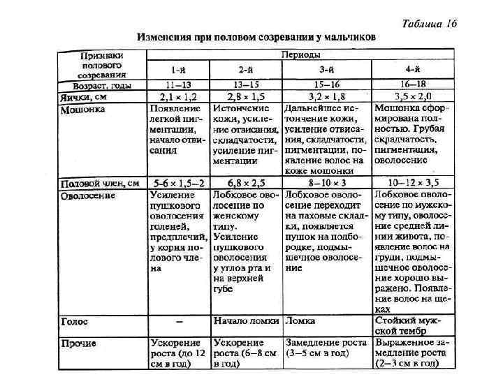 Женское и мужское половое развитие