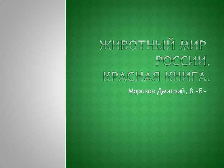 Морозов Дмитрий, 8 «Б» 