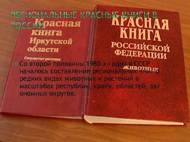  Со второй половины 1980 -х годов в СССР началось составление региональных книг о