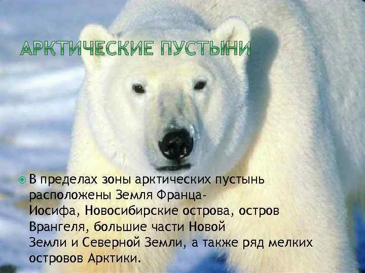  В пределах зоны арктических пустынь расположены Земля Франца. Иосифа, Новосибирские острова, остров Врангеля,