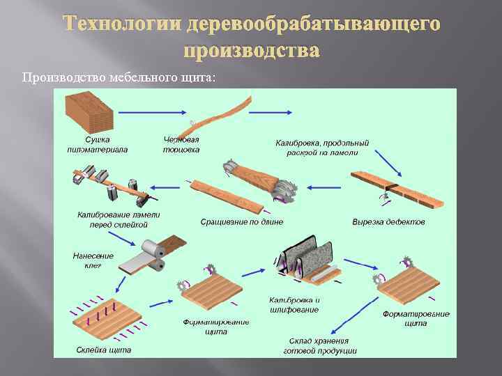 Технологии деревообрабатывающего производства Производство мебельного щита: 